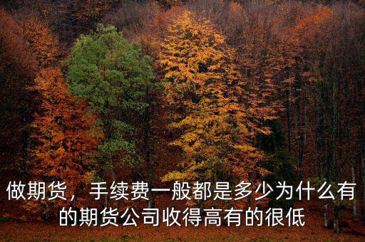 做期貨，手續(xù)費(fèi)一般都是多少為什么有的期貨公司收得高有的很低