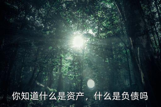 你知道什么是資產(chǎn)，什么是負(fù)債嗎