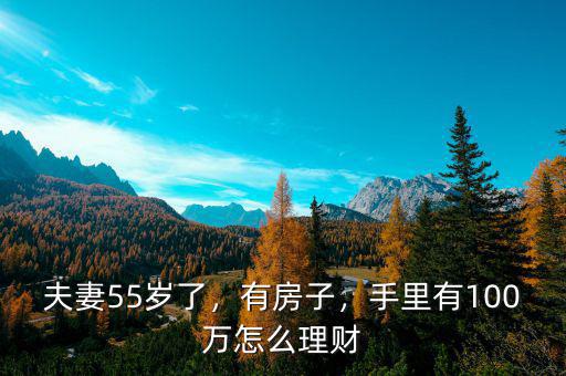 夫妻55歲了，有房子，手里有100萬怎么理財