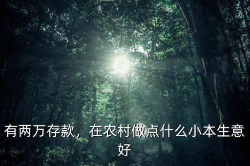 有兩萬存款，在農(nóng)村做點什么小本生意好