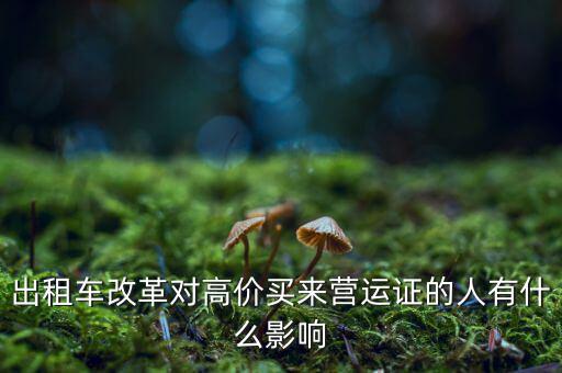 出租車改革對高價買來營運(yùn)證的人有什么影響