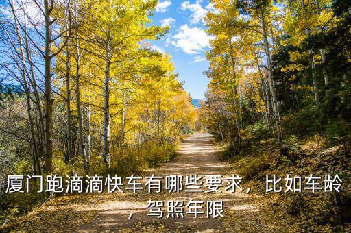 廈門(mén)跑滴滴快車有哪些要求，比如車齡，駕照年限