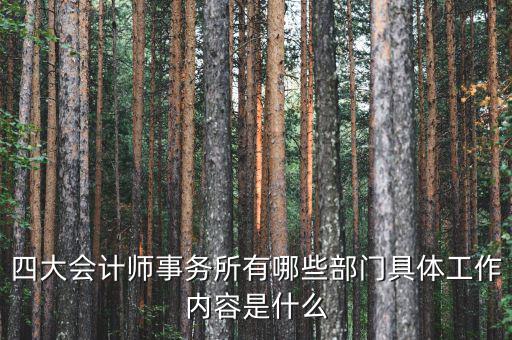 會計師事務(wù)所機(jī)構(gòu)代碼是什么,四大會計師事務(wù)所有哪些部門