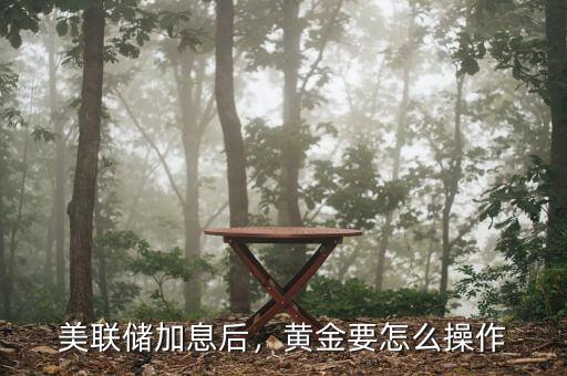 美聯(lián)儲加息后，黃金要怎么操作