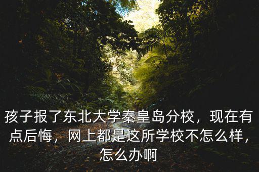 孩子報(bào)了東北大學(xué)秦皇島分校，現(xiàn)在有點(diǎn)后悔，網(wǎng)上都是這所學(xué)校不怎么樣，怎么辦啊
