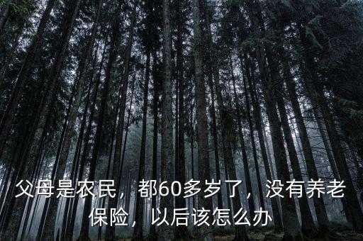 父母是農(nóng)民，都60多歲了，沒(méi)有養(yǎng)老保險(xiǎn)，以后該怎么辦