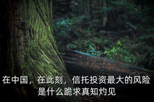在中國，在此刻，信托投資最大的風(fēng)險(xiǎn)是什么跪求真知灼見