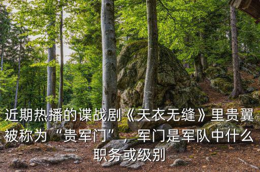 近期熱播的諜戰(zhàn)劇《天衣無縫》里貴翼被稱為“貴軍門”，軍門是軍隊中什么職務(wù)或級別