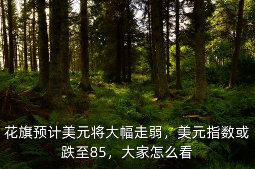 花旗預(yù)計美元將大幅走弱，美元指數(shù)或跌至85，大家怎么看