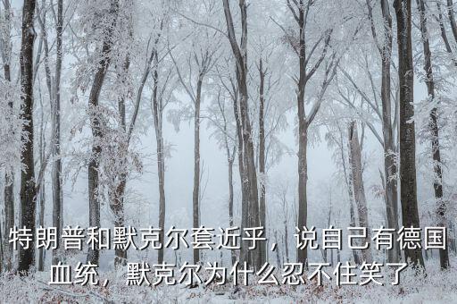 特朗普和默克爾套近乎，說(shuō)自己有德國(guó)血統(tǒng)，默克爾為什么忍不住笑了