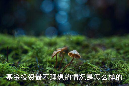小?；鹪趺礃?高位買基金的人