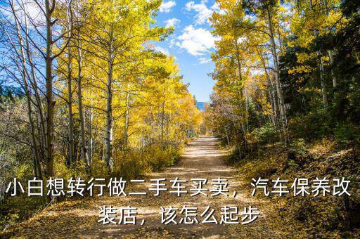 小白想轉(zhuǎn)行做二手車買賣，汽車保養(yǎng)改裝店，該怎么起步