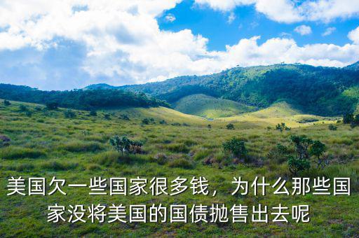 美國(guó)欠一些國(guó)家很多錢，為什么那些國(guó)家沒(méi)將美國(guó)的國(guó)債拋售出去呢