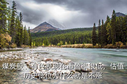 煤炭股、有色股現(xiàn)在市盈率很低，估值歷史低位為什么就是不漲