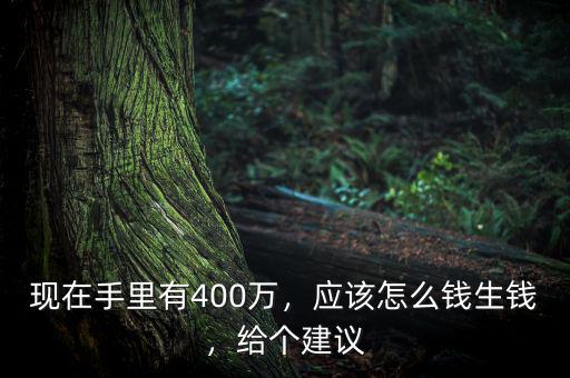現(xiàn)在手里有400萬，應該怎么錢生錢，給個建議
