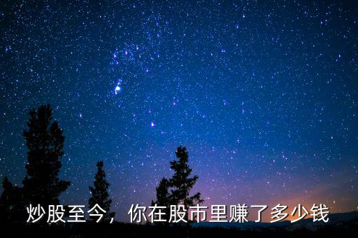 炒股至今，你在股市里賺了多少錢(qián)