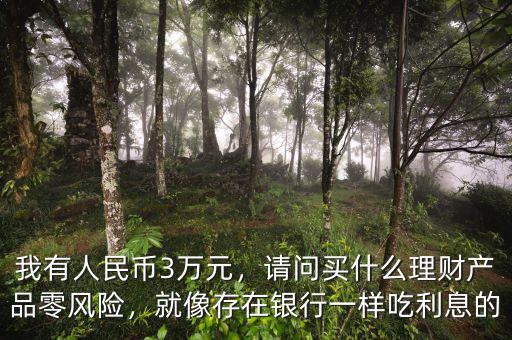 我有人民幣3萬元，請問買什么理財(cái)產(chǎn)品零風(fēng)險(xiǎn)，就像存在銀行一樣吃利息的