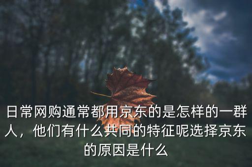 日常網(wǎng)購?fù)ǔ６加镁〇|的是怎樣的一群人，他們有什么共同的特征呢選擇京東的原因是什么