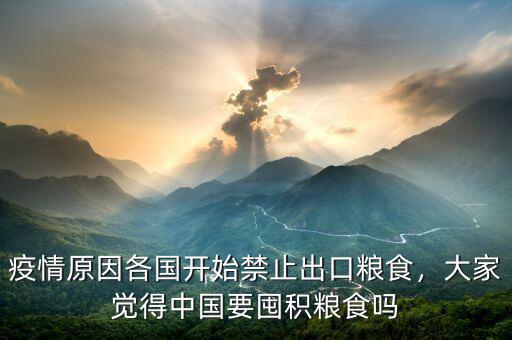 中國(guó)每年要對(duì)外購(gòu)買(mǎi)多少糧食,大家覺(jué)得中國(guó)要囤積糧食嗎