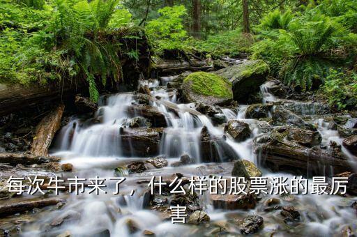 每次牛市來(lái)了，什么樣的股票漲的最厲害