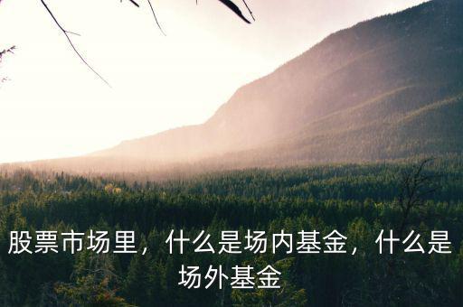 股票市場(chǎng)里，什么是場(chǎng)內(nèi)基金，什么是場(chǎng)外基金