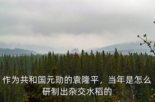 作為共和國元?jiǎng)椎脑∑剑?dāng)年是怎么研制出雜交水稻的