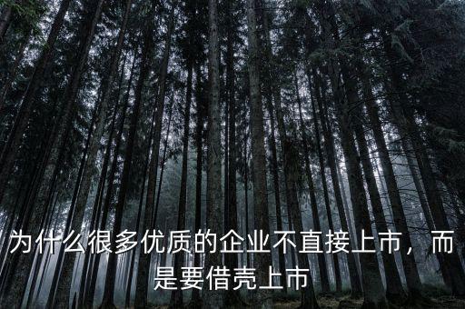 為什么很多優(yōu)質(zhì)的企業(yè)不直接上市，而是要借殼上市