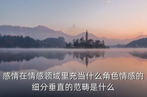 感情在情感領(lǐng)域里充當(dāng)什么角色情感的細分垂直的范疇是什么