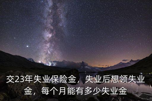 交23年失業(yè)保險(xiǎn)金，失業(yè)后想領(lǐng)失業(yè)金，每個(gè)月能有多少失業(yè)金