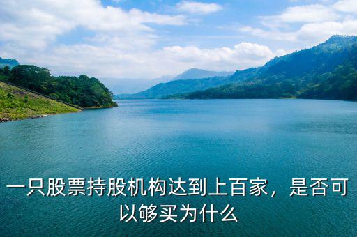 一只股票持股機(jī)構(gòu)達(dá)到上百家，是否可以夠買(mǎi)為什么