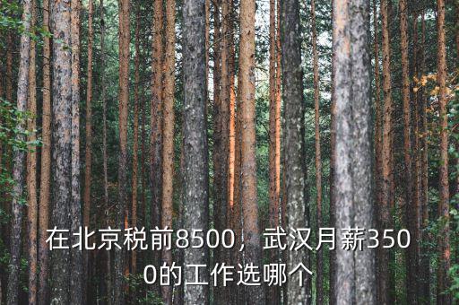 在北京稅前8500，武漢月薪3500的工作選哪個