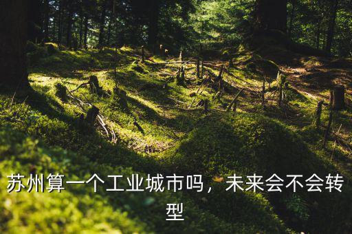 蘇州算一個工業(yè)城市嗎，未來會不會轉型