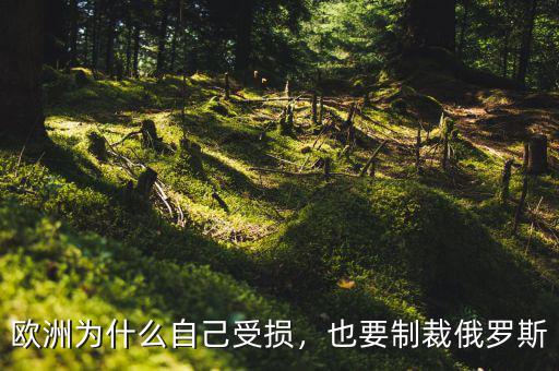 歐洲為什么自己受損，也要制裁俄羅斯