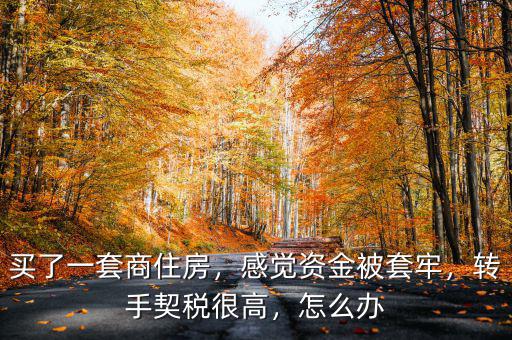 買了一套商住房，感覺資金被套牢，轉(zhuǎn)手契稅很高，怎么辦