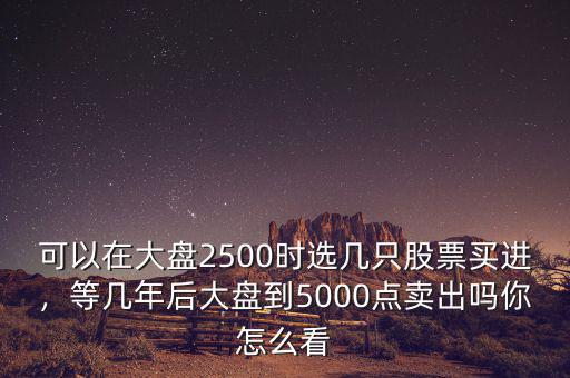 可以在大盤2500時(shí)選幾只股票買進(jìn)，等幾年后大盤到5000點(diǎn)賣出嗎你怎么看