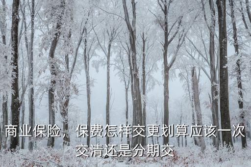 商業(yè)保險(xiǎn)，保費(fèi)怎樣交更劃算應(yīng)該一次交清還是分期交