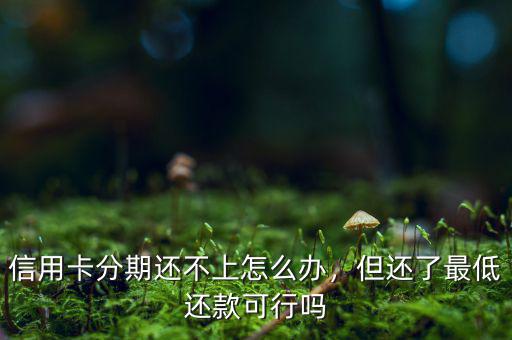 信用卡分期還不上怎么辦，但還了最低還款可行嗎
