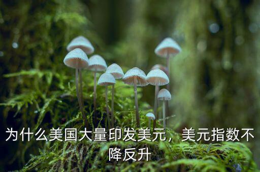為什么美國大量印發(fā)美元，美元指數(shù)不降反升