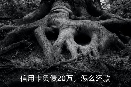 信用卡負債20萬，怎么還款