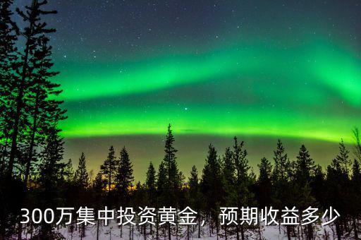 300萬集中投資黃金，預(yù)期收益多少