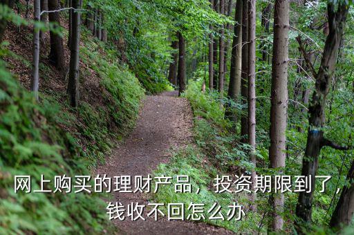 網(wǎng)上購買的理財產(chǎn)品，投資期限到了，錢收不回怎么辦