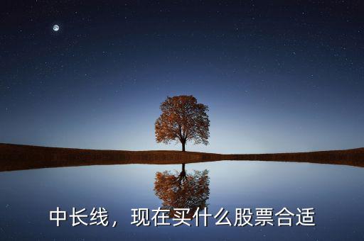 中長線，現(xiàn)在買什么股票合適