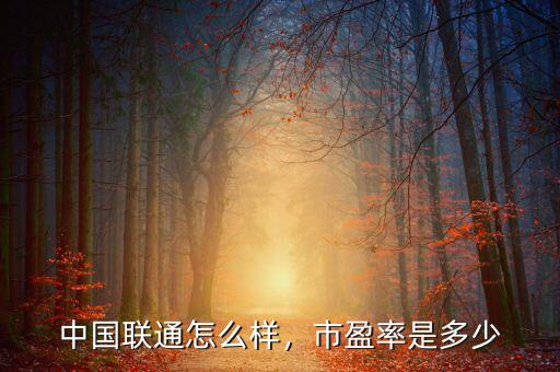 中國聯(lián)通怎么樣，市盈率是多少