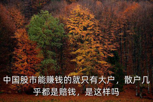 中國(guó)股市能賺錢的就只有大戶，散戶幾乎都是賠錢，是這樣嗎