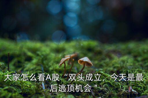 大家怎么看A股“雙頭成立，今天是最后逃頂機(jī)會(huì)＂