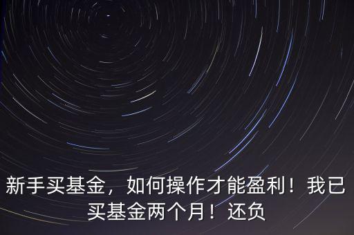 新手買基金，如何操作才能盈利！我已買基金兩個月！還負