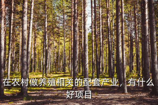 在農(nóng)村做養(yǎng)殖相關的配套產(chǎn)業(yè)，有什么好項目
