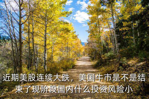近期美股連續(xù)大跌，美國牛市是不是結(jié)束了現(xiàn)階段國內(nèi)什么投資風(fēng)險小