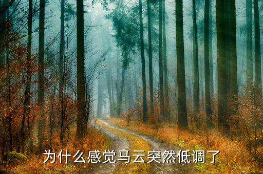 為什么說(shuō)馬云被自己洗腦了,為什么感覺馬云突然低調(diào)了