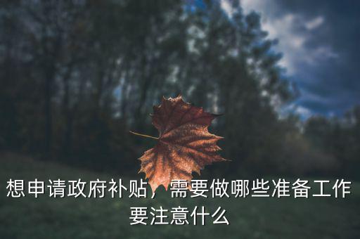 想申請政府補貼，需要做哪些準(zhǔn)備工作要注意什么